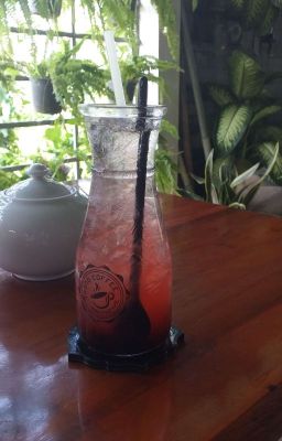 Con Lừa Giấc mơ