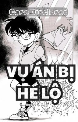 [Conan ୨ৎ fanfic dịch] Vụ án bị hé lộ [Xem ảnh thể]