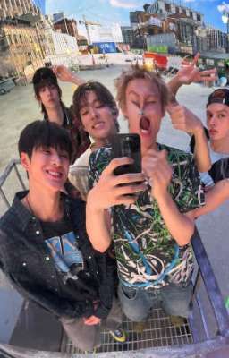 cortis; chưa nghĩ ra tên.