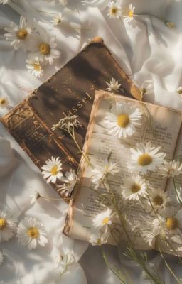 Cùng Dòng Máu,Cùng Yêu Chung Một Người[Hiha Pr!mexHiha DarkxHiha Hologram]