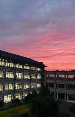  Cùng Nhau Ngắm Hoàng Hôn