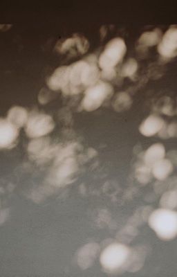 cuộc gọi lúc nửa đêm