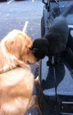 [CườngQuang] Hợp 