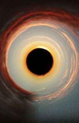 [CườngxQuang] Rừng nuôi người