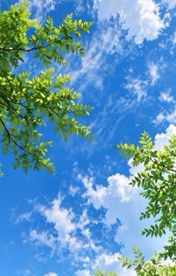 CÚP Vàng Và Khoảng Trống Trong Tim 