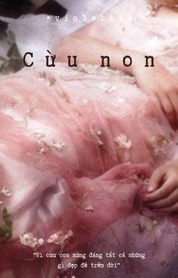cừu non 