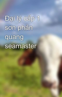 Đại lý cấp 1 sơn phản quang seamaster