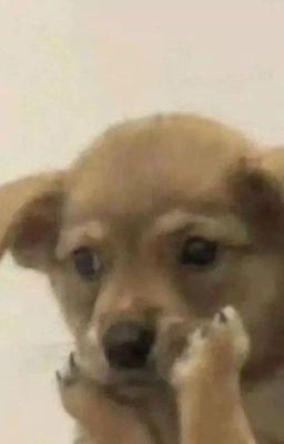 [Đam Mỹ, Chiếm Hữu] Phó Hàn Giang x Trịnh Hoài Du