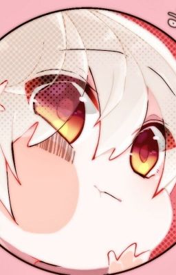 [ ĐAM MỸ ]  Where My Almond Chocolate ?