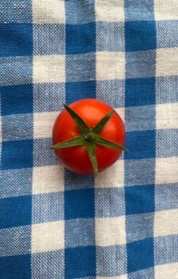 dao động điều hoà | marju