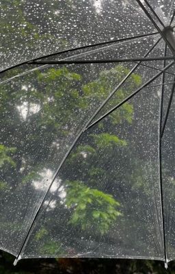 [Đào Nguyên Anh Lạc][Nguyễn Lâm Anh x Nguyễn Thanh Phúc Nguyên] Khóc cùng anh