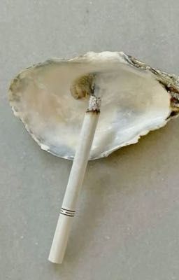 ĐạtKhoa.