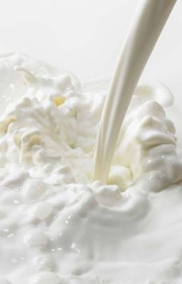 Defker || No Nut November