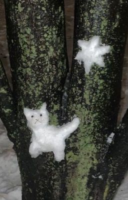 đêm đông | ddingdongz