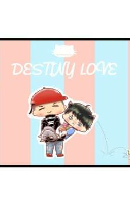 Destiny Love [VIXX] [Wontaek][Series]