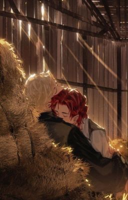 Đi giữa trời rực rỡ