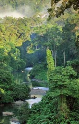 (ĐM/CaoH) Xuyên Qua Chi Mỗi Ngày Bị Ái