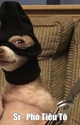 [ĐM/DONE] SI - PHÓ TIỂU TÔ