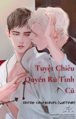 [ĐM/EDIT] Tuyệt Chiêu Quyến Rũ Tình Cũ: Hợp Đồng Hôn Nhân Sau Chia Tay