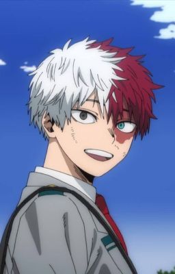 - ĐN BNHA - chỉ cần là cậu, mọi thứ đều ổn -