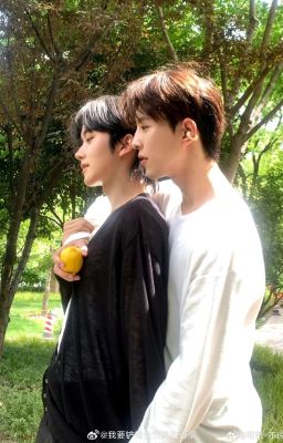 [ĐN HOA THỊNH/EDIT] HOA VỊNH CẮT TUYẾN THỂ ĐỂ CỨU CON TRAI