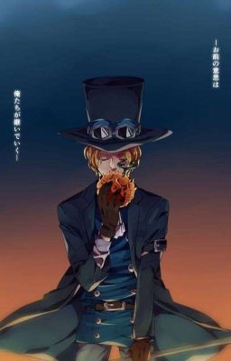 (ĐN One Piece)  Sự Quyến Rũ Mê Hoặc Lòng Người  