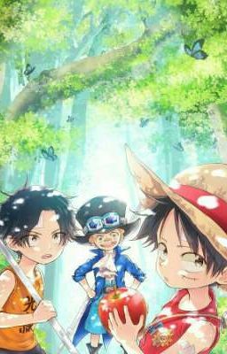 (ĐN ONE PIECE) Xuyên không thành MONKEY D. LUFFY