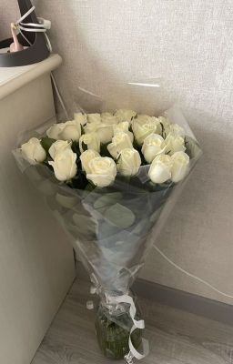 Đóa Hồng Trắng