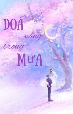 Đoá Nắng Trong Mưa 