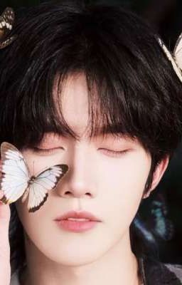 ĐOẢN - HOA THỊNH (TRANS )