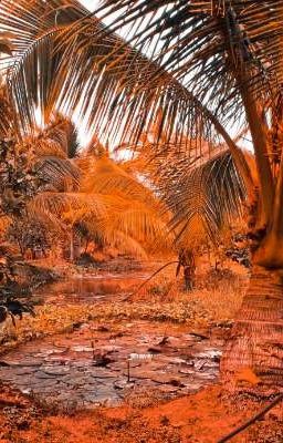 Đoản Văn Ngắn Lưu Trữ