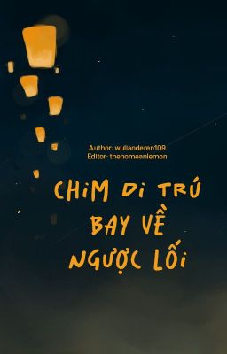 [Đông Chí - 21:00] Chim di trú bay về ngược lối