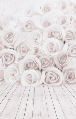 Đồng nhân Hắc Quản Gia-White Rose