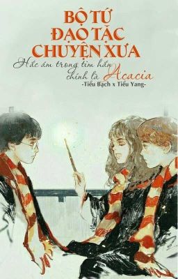 (Đồng nhân harry Potter) Bộ tứ đạo tặc chuyện xưa