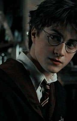 (Đồng Nhân Harry Potter Crossover Twilight) Lần Nữa Gặp Người