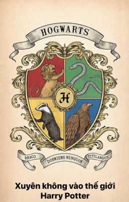 [Đồng nhân Harry Potter] Xuyên không đến thế giới khác