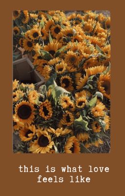 [DraHar] this is what love feels like