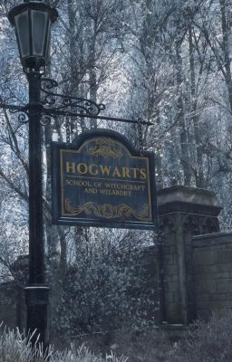 [Dramione] Ngày Hogwarts bật Wi-Fi...!