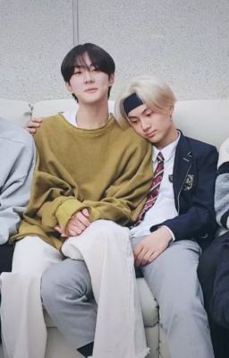 (DROP/ jaywon) nhật kí tỏ tình N lần của mèo vàng!