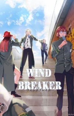 (DROP)Windbreaker x Reader|| Người đàn bà mạnh nhất.