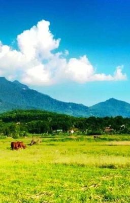 Đừng chọn trở thành người nhạy cảm