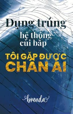 ĐỤNG TRÚNG HỆ THỐNG CÙI BẮP, TÔI GẶP ĐƯỢC CHÂN ÁI [GeminiFourth][H]