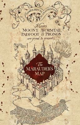 Duyên nợ của gã đào hoa | Sirius Black x Reader