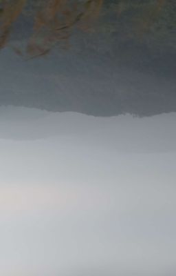 [EDIT - ĐAM MỸ] Tử Vũ Nguyệt Diên, Bạch Vân Thi Thi Thi