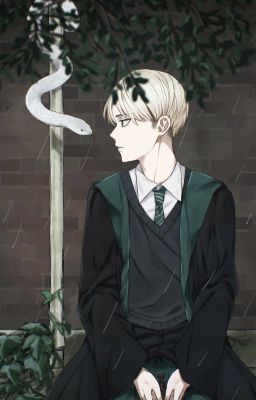 [Edit] [HarDra/ VolDra] Bất chợt nhìn lại (Bỗng nhiên quay đầu)