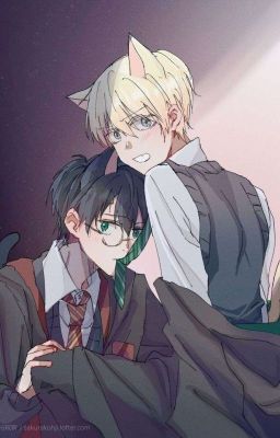 [Edit] [HP/Drarry]  