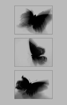 { EDIT } ViCho | Kỹ nữ trong nhà