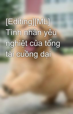 [Editing][ML] Tình nhân yêu nghiệt của tổng tài cuồng dại