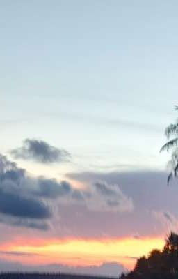Em Là Người Anh Không Thể Từ Bỏ