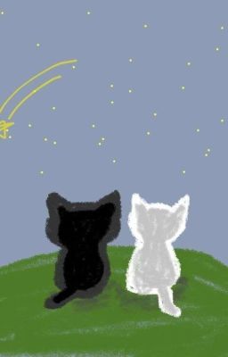 [FAKENUT] ĐÔI CHÂN TRẦN